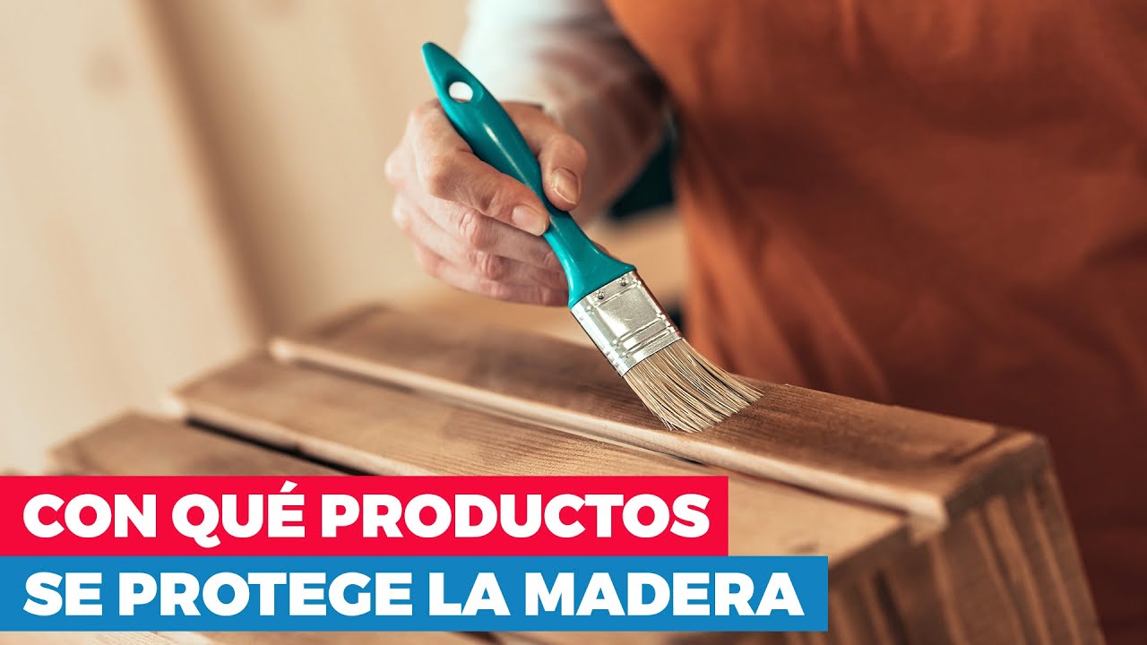 Humedad y algarrobo: Cómo prevenir daños en climas húmedos
